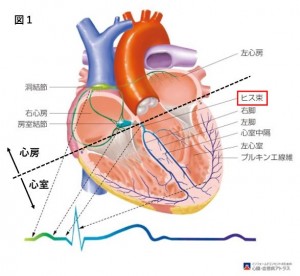 図１